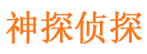 陆川市婚姻调查